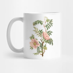 Wild Rose Flower Vintage Botanical Illustration Mug